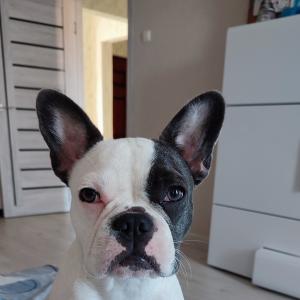 Илья Романенков